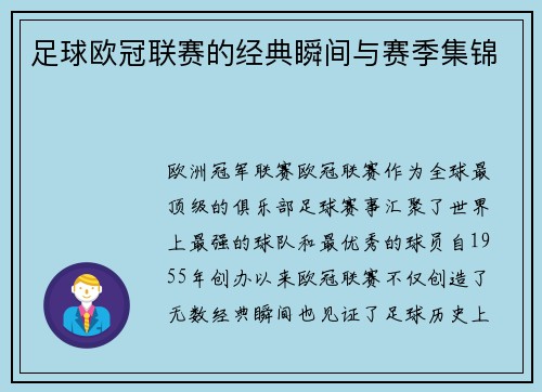 足球欧冠联赛的经典瞬间与赛季集锦